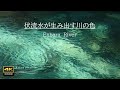 4K映像 + 自然の音 /　湧水(伏流水)が作り出す円原川の美しい自然　驚きのエメラルドグリーン