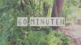 Feldherrenhügel Mit Dünen Und Wald In Oftersheim