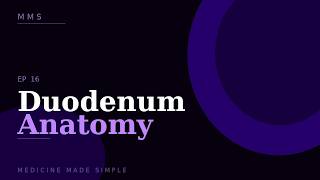 Duodenum Anatomy Explained | Parts, Relations and Clinical Importance | Medicine Made Simple
