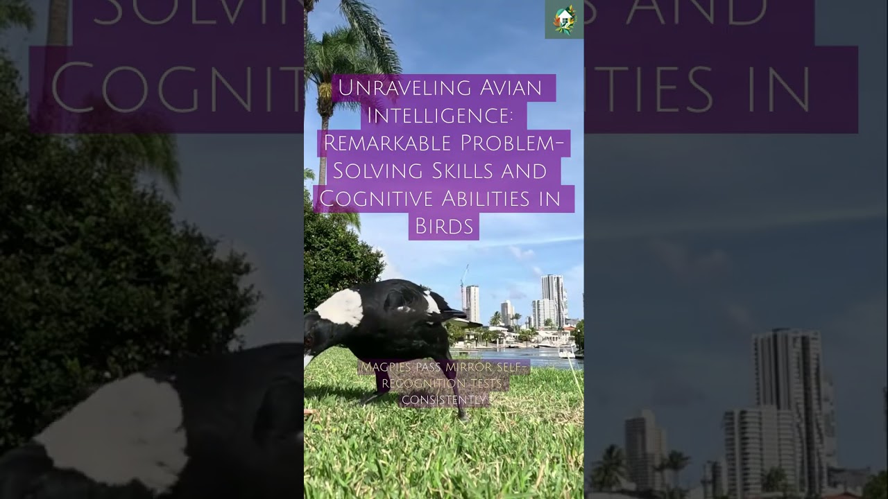 Unraveling Avian Intelligence: Remarkable Problem-Solving Skills and Cognitive Abilities in Birds