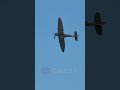▲ USAF Spitfire 'Porky II' (Click above for full video)