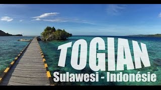Malenge Island Les Togian, Îles De Rêve À Sulawesi