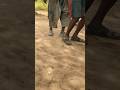 singing and dances#hadzabetribe #africantribe #huntergatherertribe