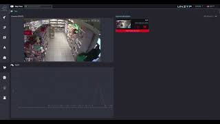 Shoplifting Recognition