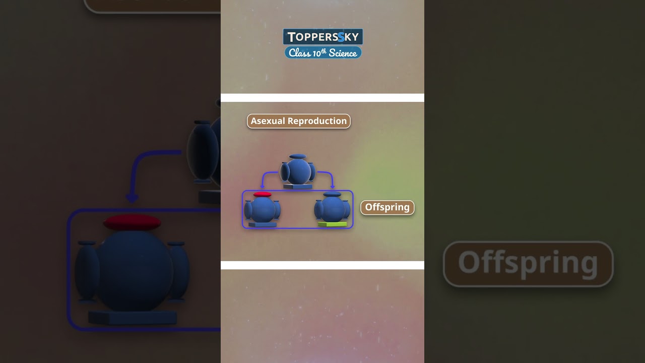Download the ToppersSky App now – Just 15 minutes a day! Master Chapter 8: Heredity in just 7 days!