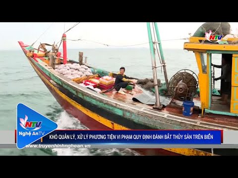 Video Khó quản lý, xử lý phương tiện vi phạm quy định đánh... - youtube