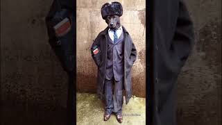 ai video, tools, art, animation, editing, generated, tutorial,, software, marketing, filmmakers,