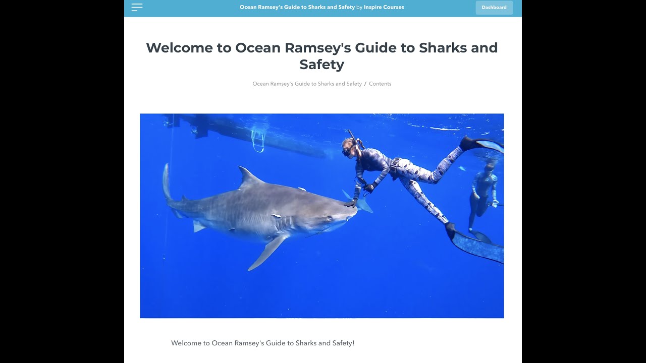 Advanced Shark Diving Taught By Ocean Ramsey & JuanSharks YouTube