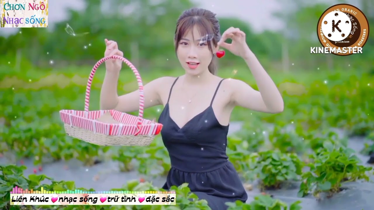 Vòng Tay Lỡ Làng????Giã Từ????Liên Khúc nhạc sống trữ tình... - youtube