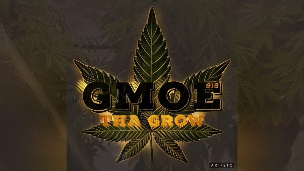 pyramid seeds purple Auto