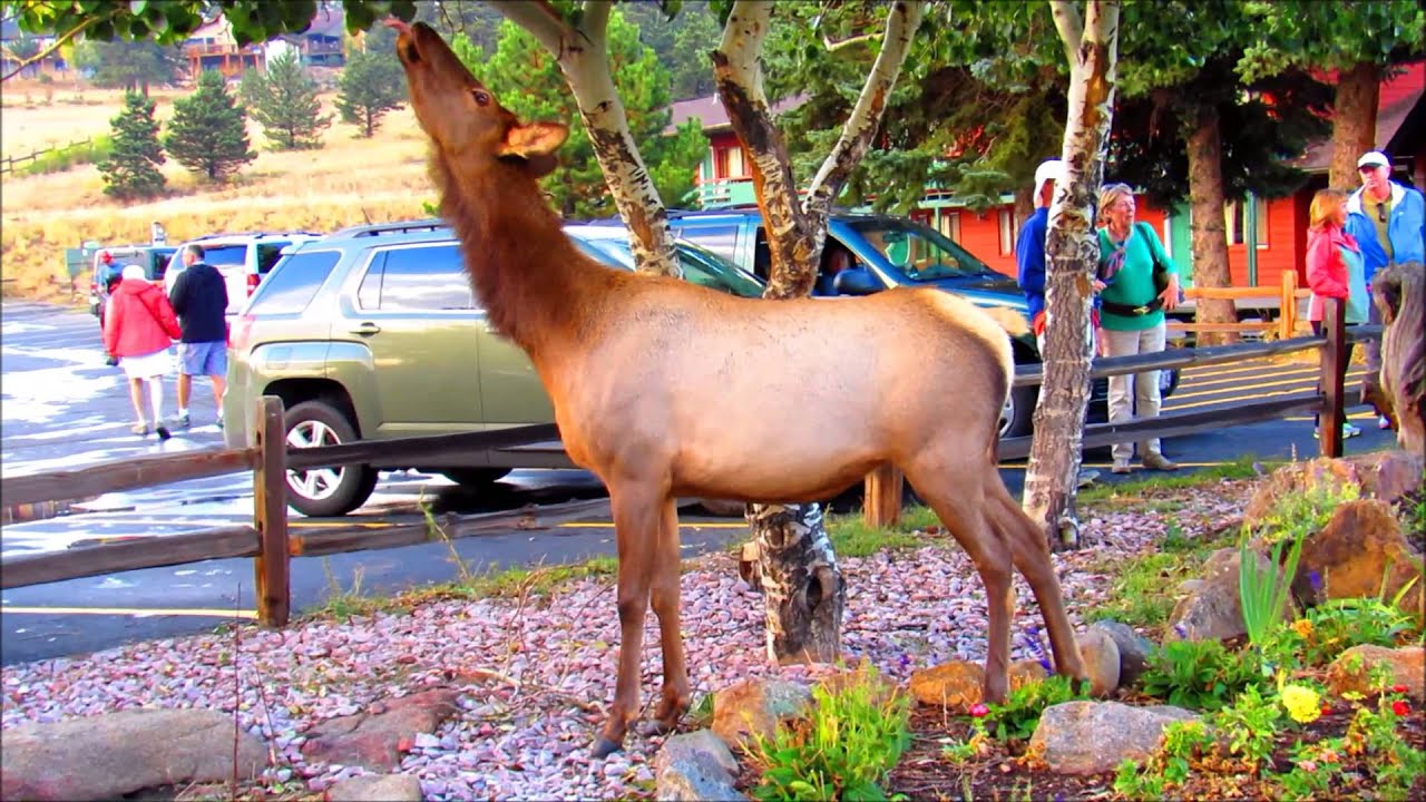 Estes Park Colorado And Rocky Mountain National Park September 2015 Estes Park Colorado And Rocky Mountain National Park September 2015