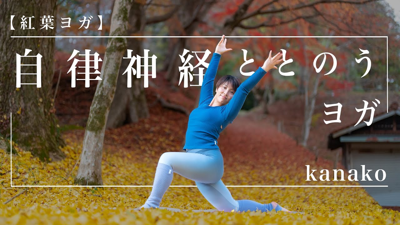夜ヨガ23分【紅葉ヨガ】ダルい方！寝つきが悪い方！必見‼︎自律神経ととのうヨガで解消して行きましょう/kanako