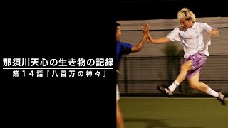 那須川天心の生き物の記録 第14話 『八百万の神々』