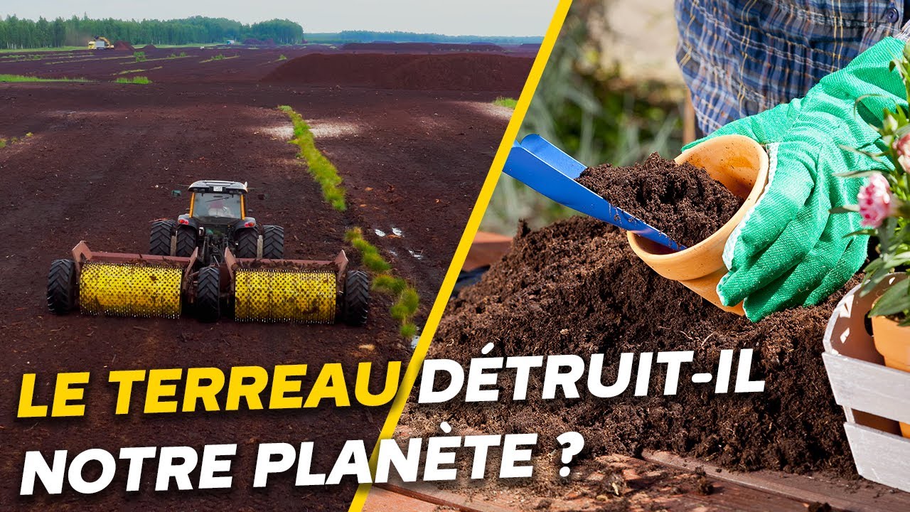 Pourquoi le terreau menace nos tourbières et l’avenir de la planète ?