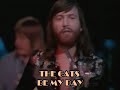 The Cats - Be My Day