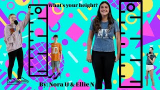 What's Your Height?