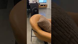 Suerte Chair - Palermo Butterscotch  | Amethyst Home