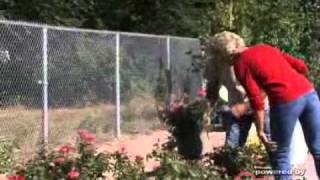 King's Nursery & Landscaping - (435)623-3319