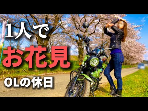 hqdefault.jpg