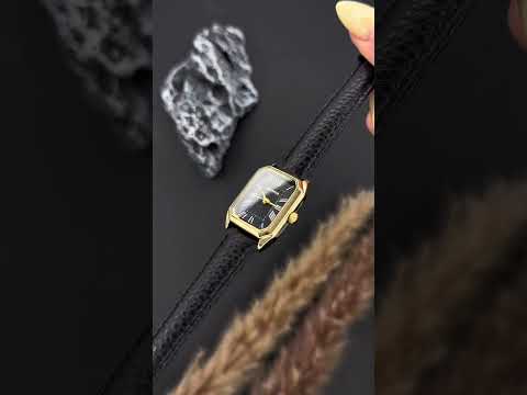 Чоловічий наручний кварцовий годинник GUARDO 012831-3, видео 1