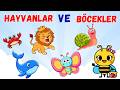 Hayvanlar ve Böceklerin İsimlerini Öğreniyoruz! 🐶🐞 | Çocuklar İçin Eğitici Video