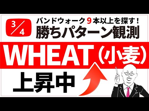 上昇率は30％！小麦の上昇トレンドが継続中✨