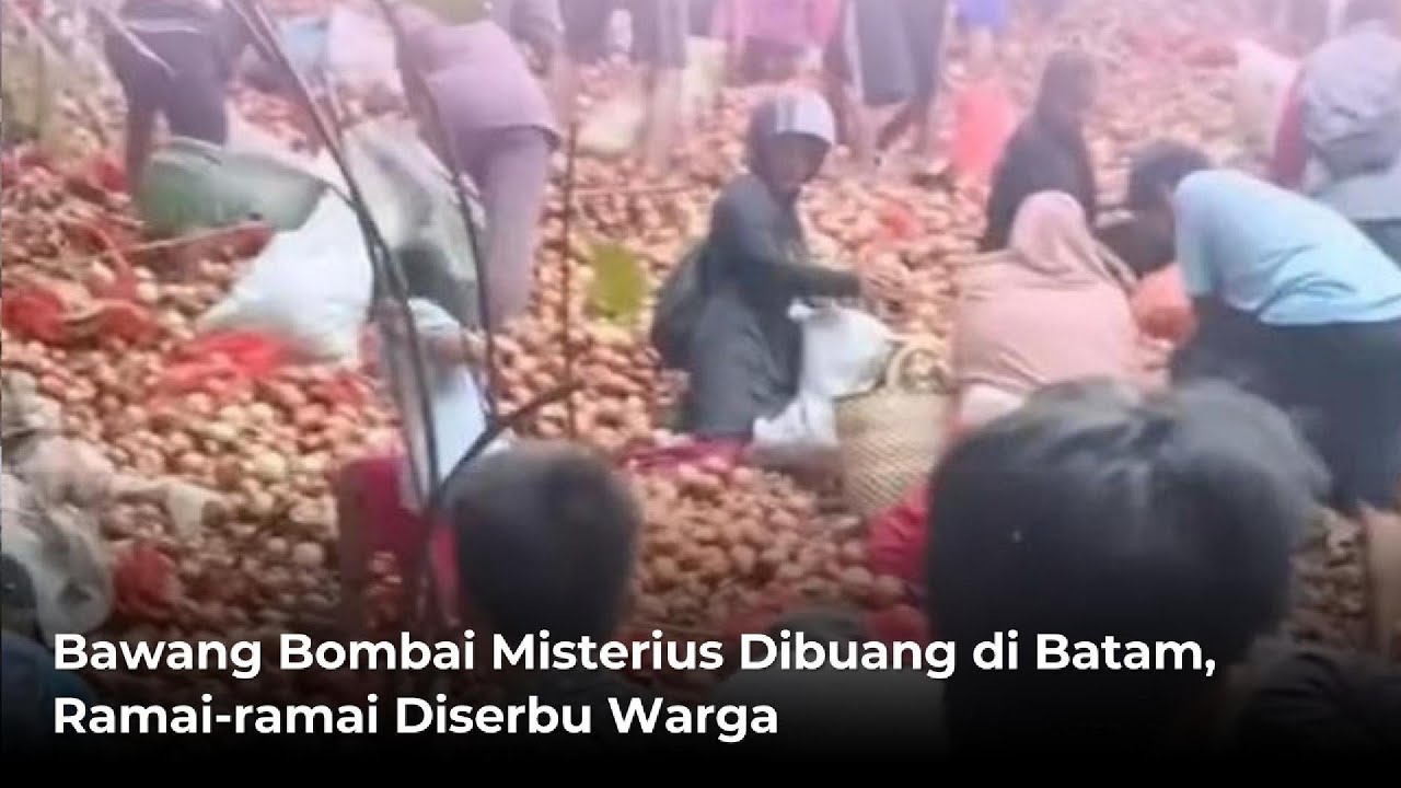 Bawang Bombai Misterius Dibuang di Batam, Ramai-ramai Diserbu Warga