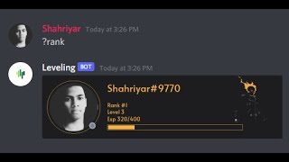 How to make a leveling bot using discord.py + disrank with Rank card image and Postgresql