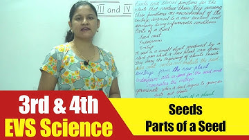 3rd & 4th EVS Science | Seeds - Parts of a Seed | CBSE Science Syllabus