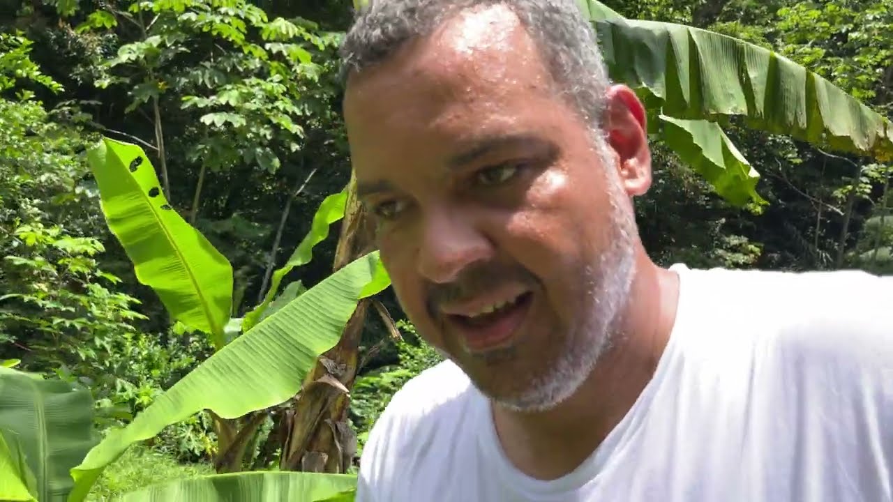 За кулисами с фермером Гарри