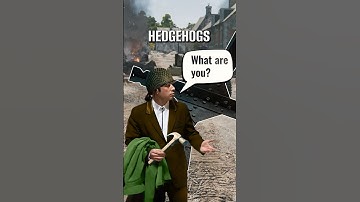 Czech Hedgehogs in Enlisted