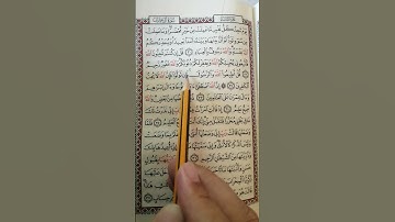 تعليم سورة آل عمران من آية 30 إلى آية 32