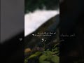 شيلات يسعد مساكوا