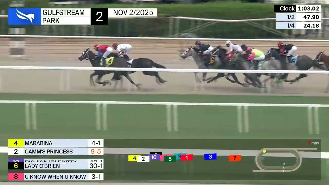 Gulfstream Park, 2 ноября 2025 г., гонка 2