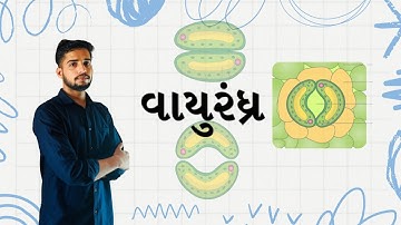 DHORAN-10 VIGYAN CH-5|| વાયુરંધ્ર કે પર્ણરંધ્ર સમજાવો || Akram sir