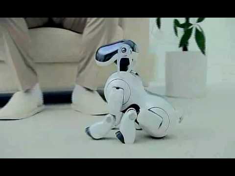 AIBO 3G