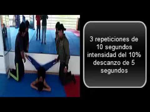 Clases de flexibilidad dinámica y pasiva