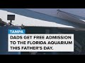 The Florida Aquarium offers free admission for dads