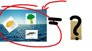 (objection.lol) is the ocean soup ?