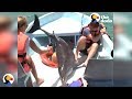 Dolphin JUMPS ON BOAT | The Dodo