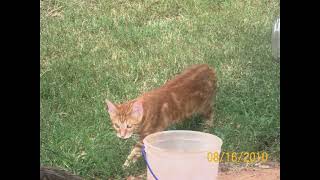 August 16, 2010 — Part 94 August 16 2010 Part 104
