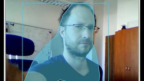 Poly-YOLO lite webcam pretrained on COCO dataset