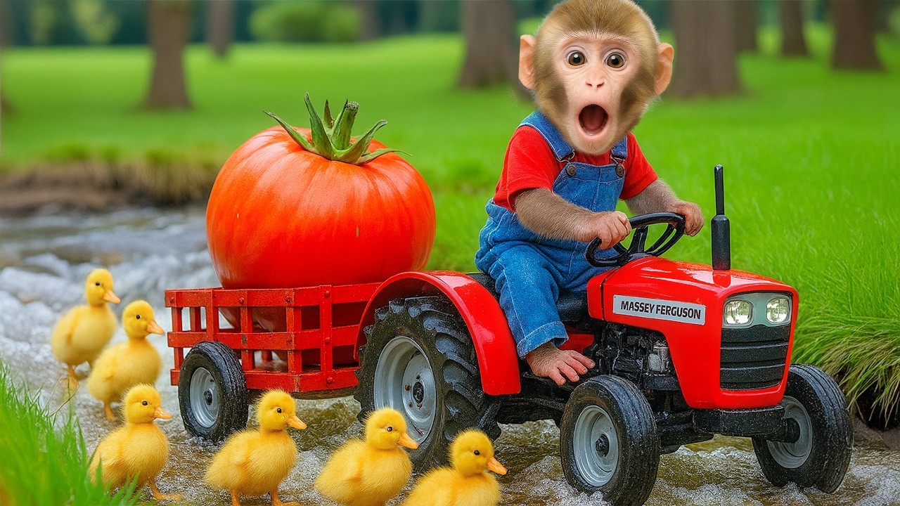 دعاء خاشع في اليوم التاسع من شهر رمضان المبارك دعاء خاشغ تهتز له القلوب - Doa Ramadan - علاء عقل