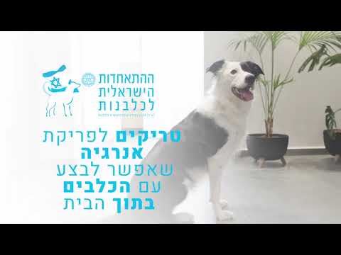 בורדר קולי חבר המשפחה המושלם - פטפיינדר