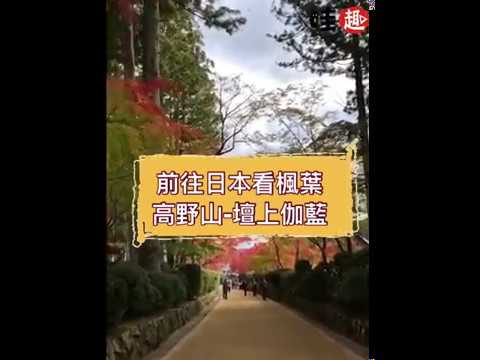 哇趣 哇趣獨家直擊日本高野山 壇上伽藍美麗楓紅 Youtube