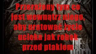 The Used - The Bird And The Worm Tekst Pl