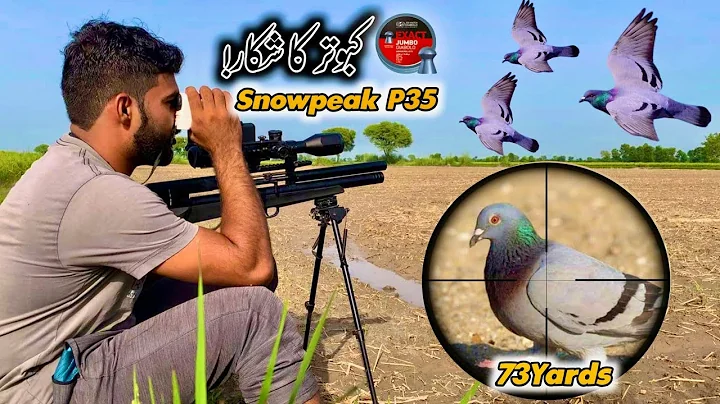 Rock Pigeon Hunting Season 2023-24|Pigeon Hunting 2023 With Snowpeak PCP Airgun P35|AirHunter PK