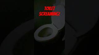 Screaming Toilet