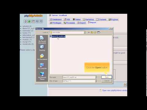 Importing data in phpMyAdmin