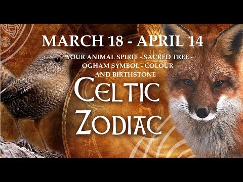 Video: Celtic Animal Horoscope: Kinglet